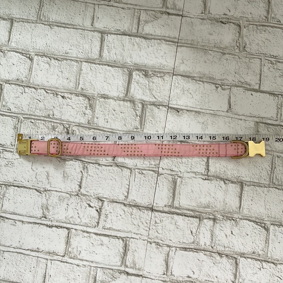 Custom Dog Collar - Picture 4 of 4